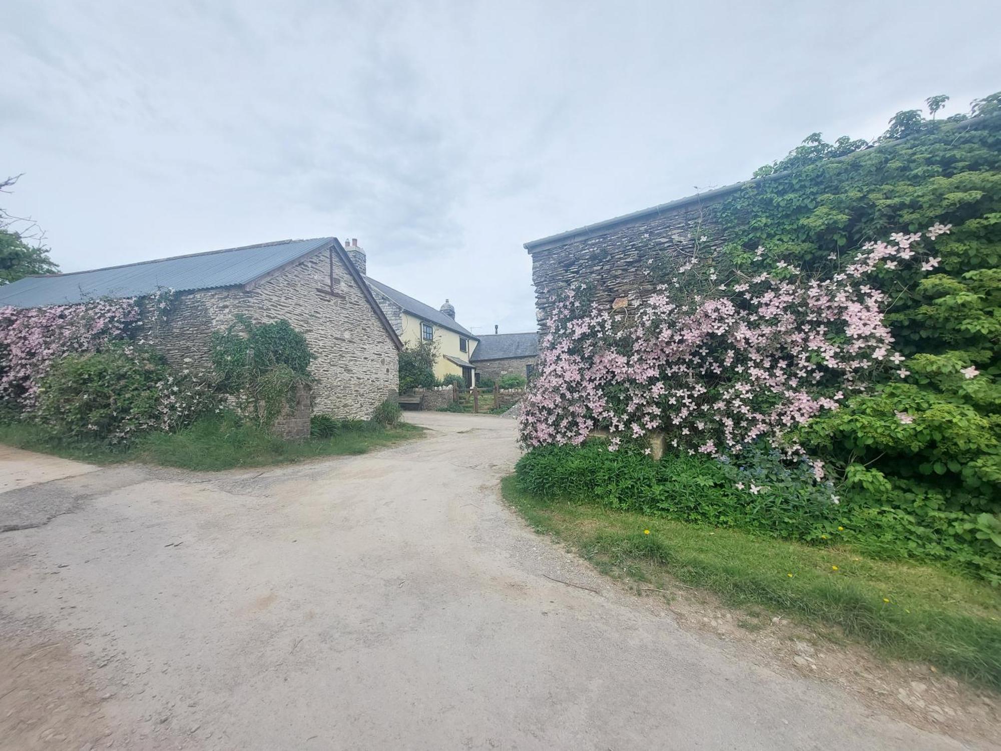Rural Historic Farmhouse - A Peaceful Escape West Down Eksteriør bilde